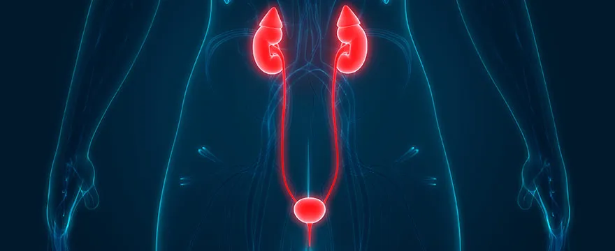 Planeta Médico